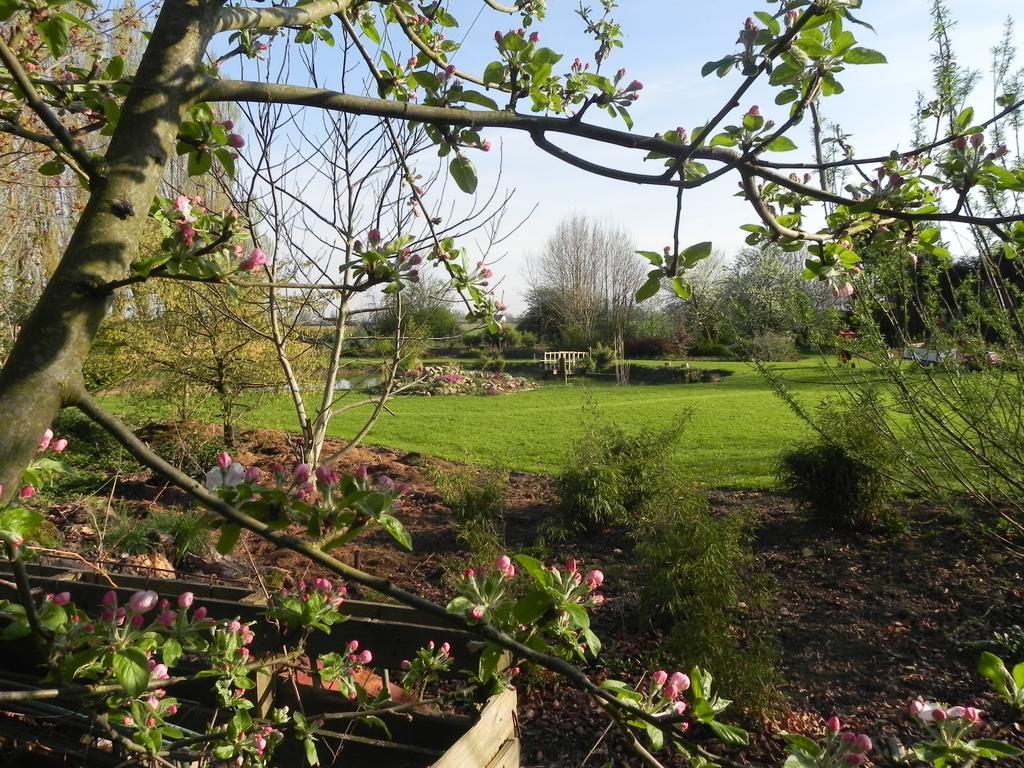Bed and Breakfast Les Charmilles Hazebrouck Exterior foto